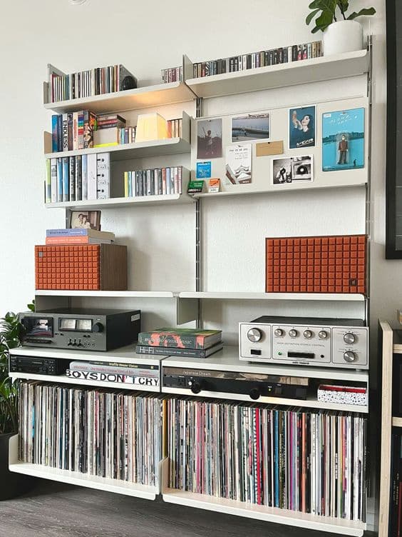 Vinyl and Audio Shelf